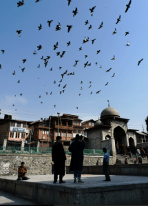 Screen Shot 2014-10-06 at 9.53.07 AM