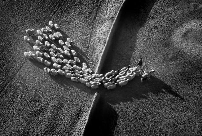 pb-110128-frayer-da-04-photoblog900