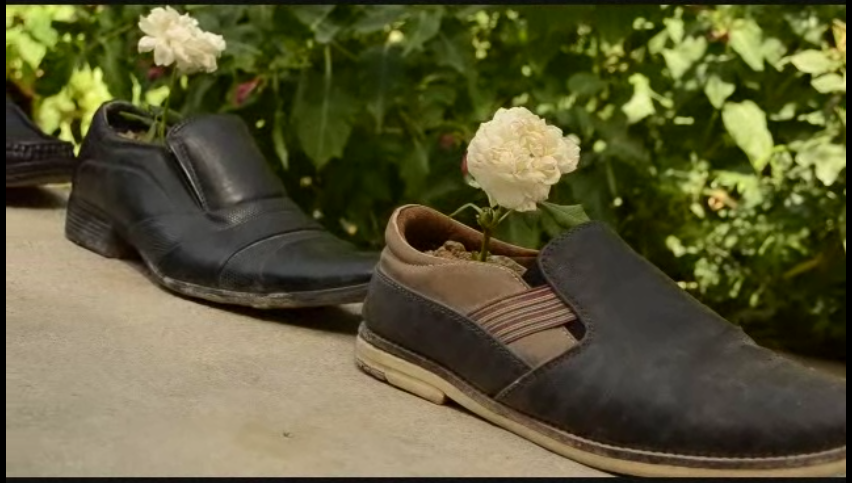 Screen Shot 2017-09-22 at 11.07.13 pm